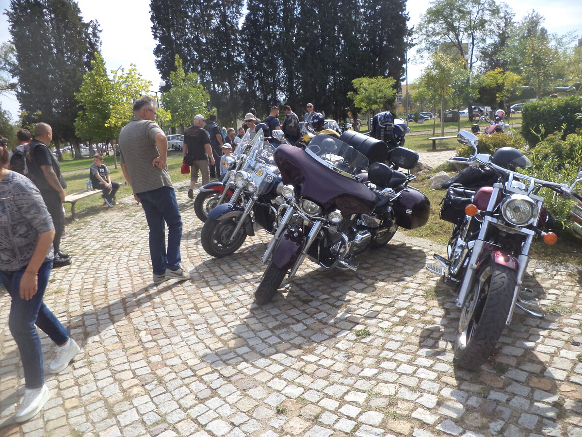 DSC00994.JPG