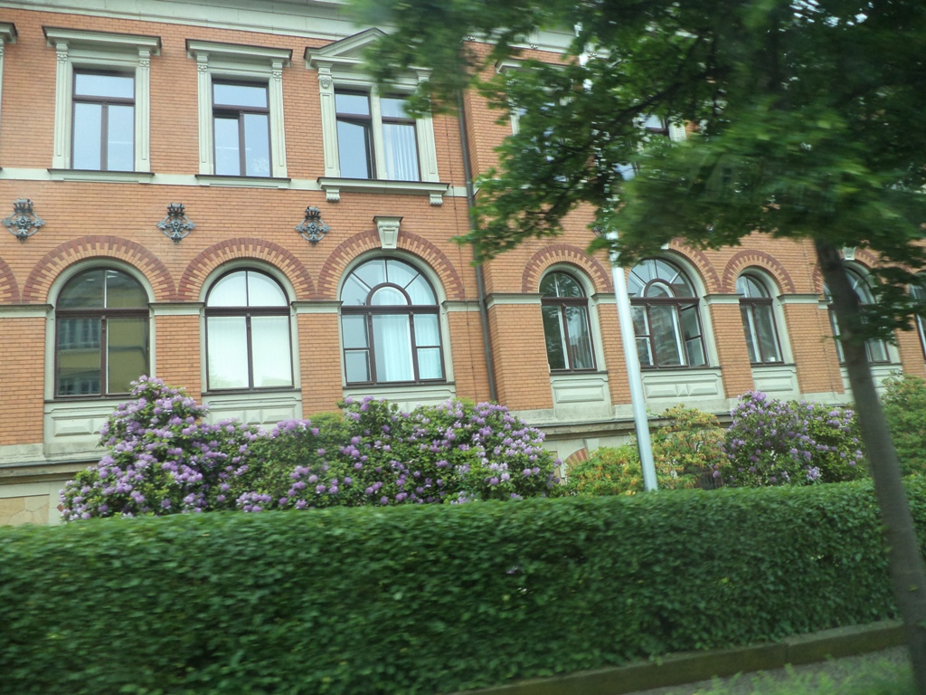 DSC01009.JPG