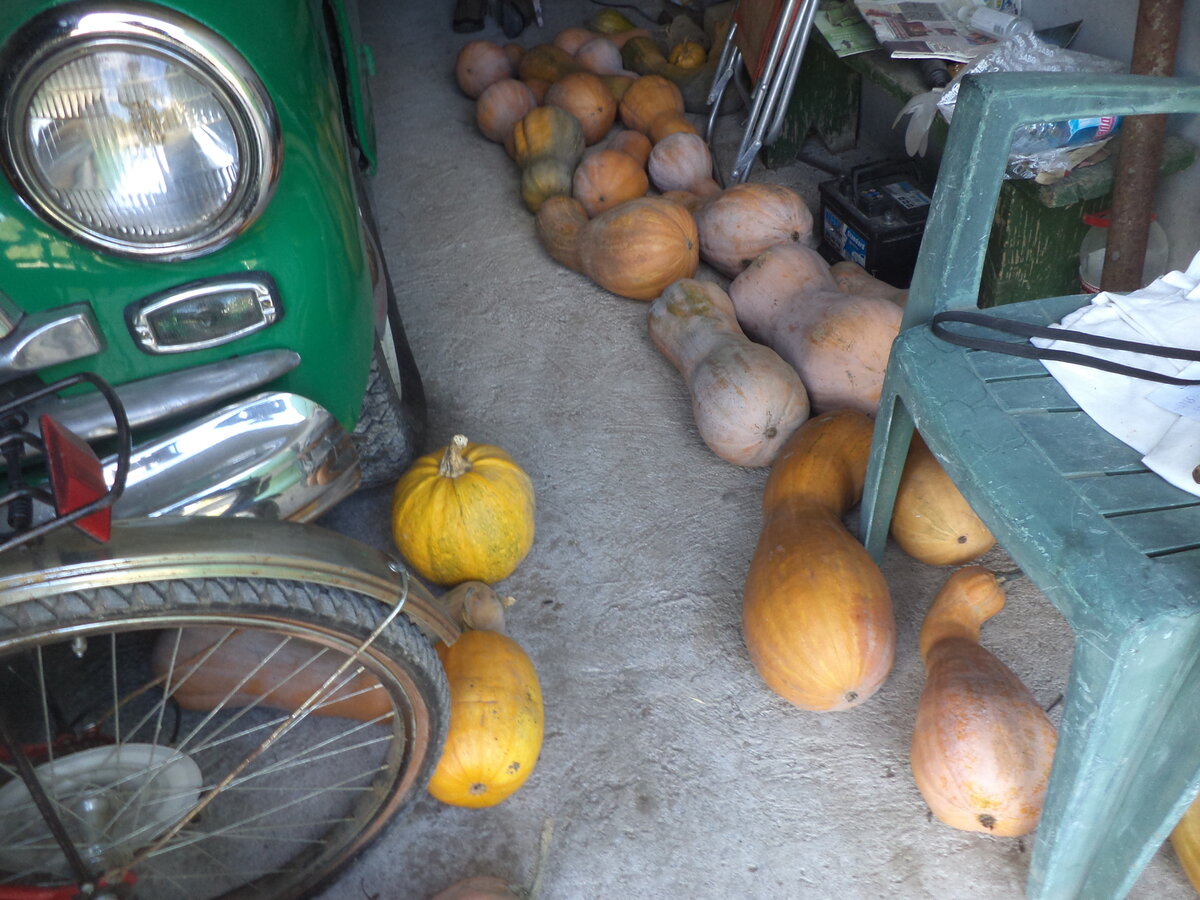 DSC01072.JPG