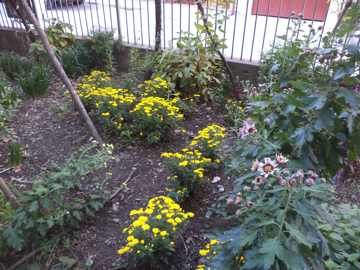 DSC01084.JPG