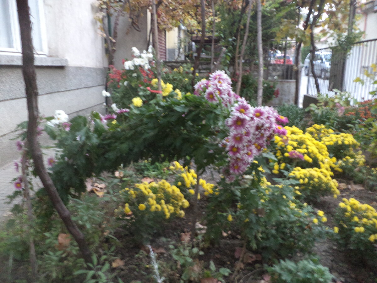 DSC01150.JPG