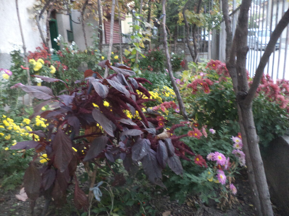 DSC01151.JPG
