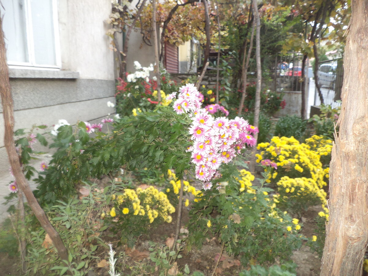 DSC01152.JPG