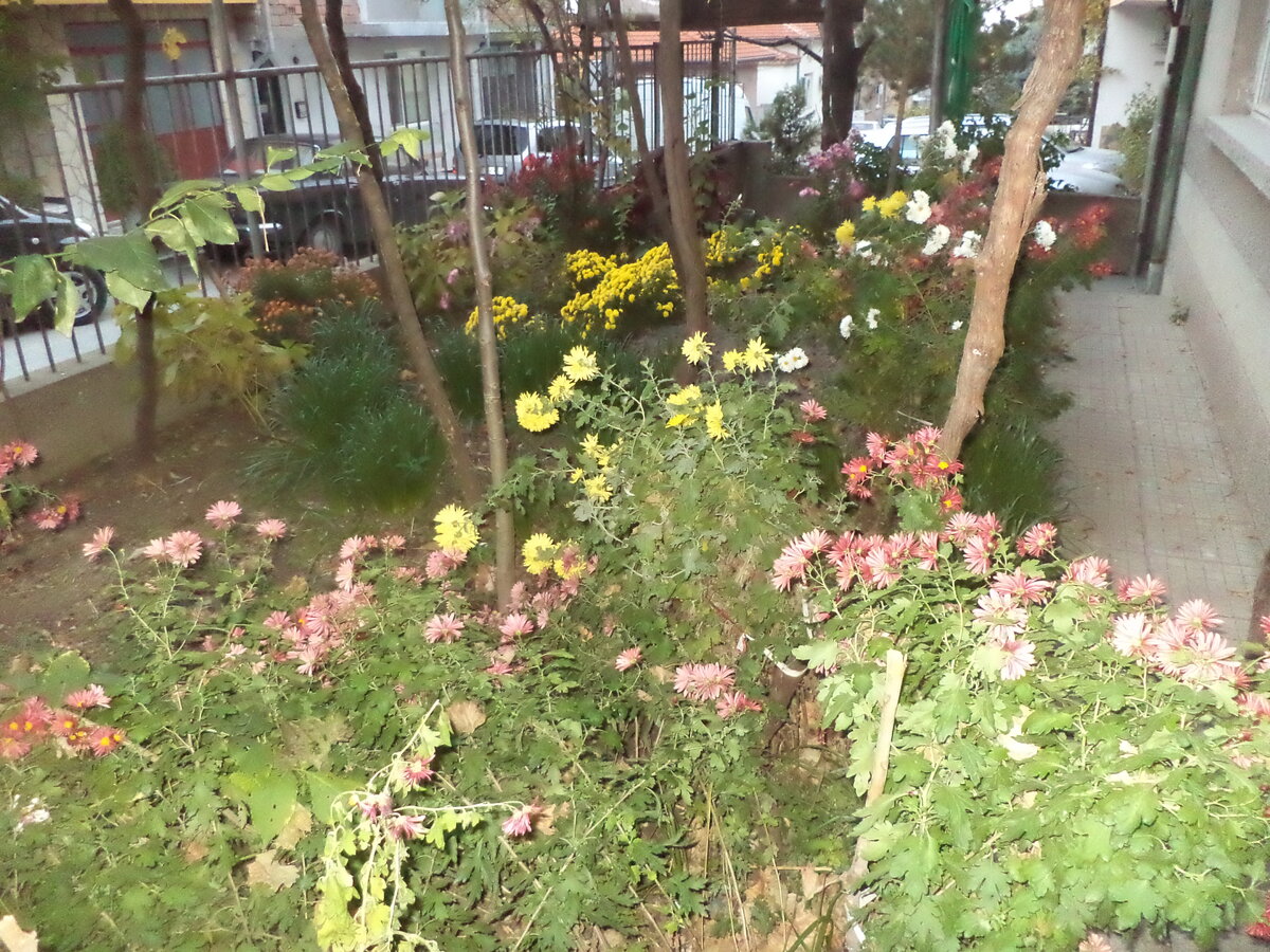 DSC01155.JPG
