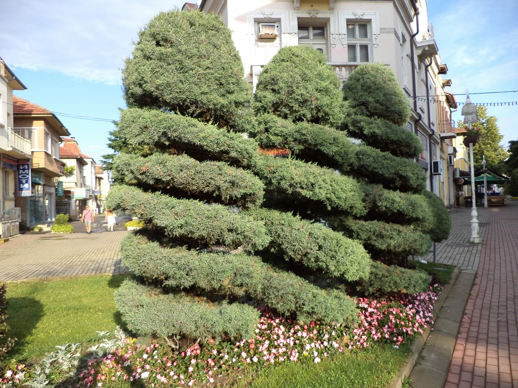 DSC01187.JPG