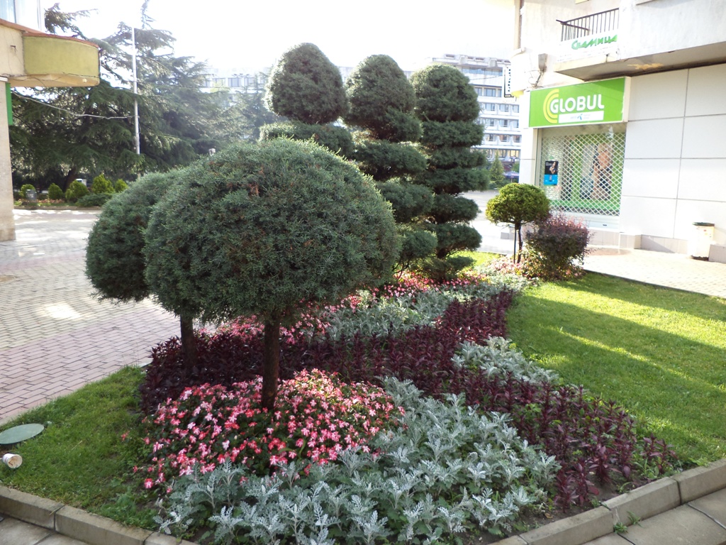 DSC01189.JPG