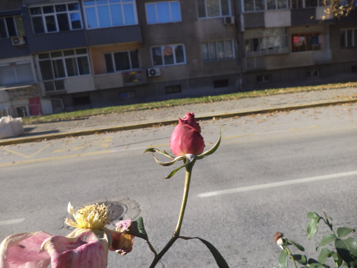 DSC01195.JPG