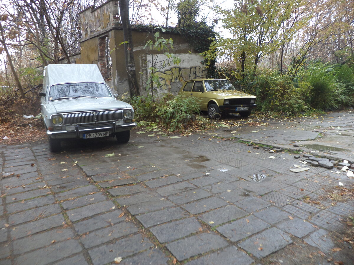 DSC01203.JPG