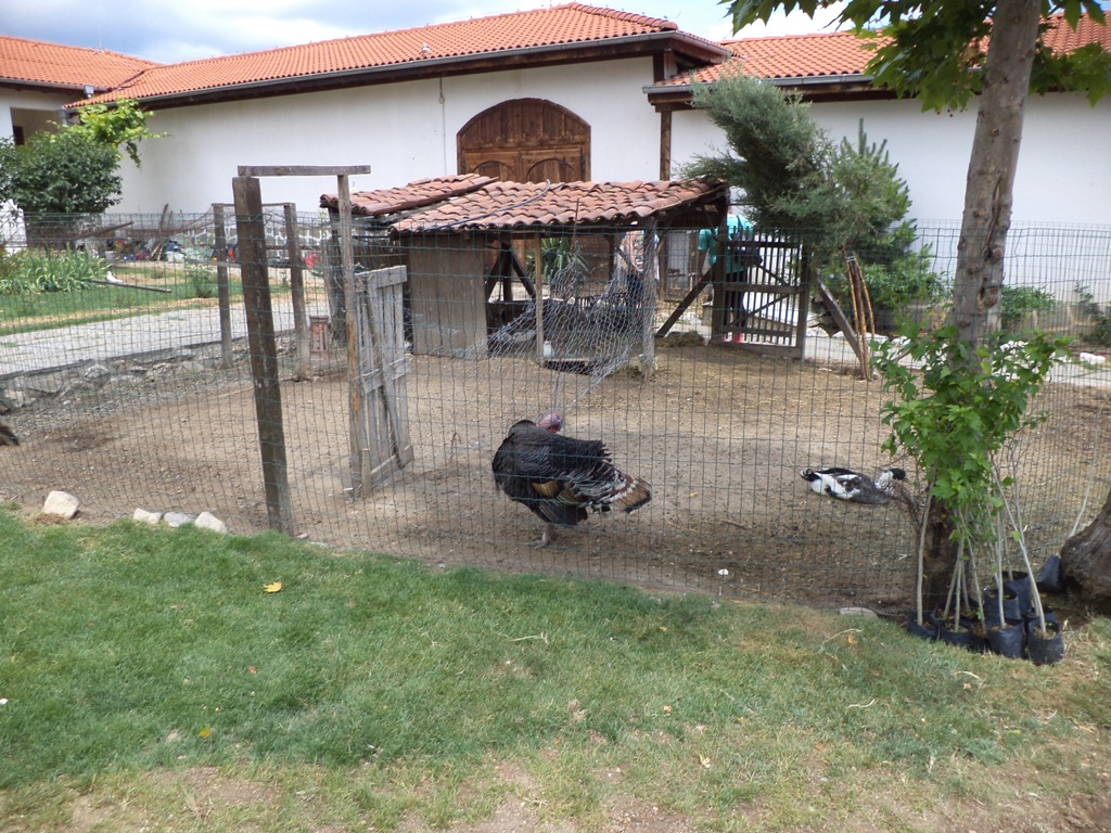 DSC01210.JPG