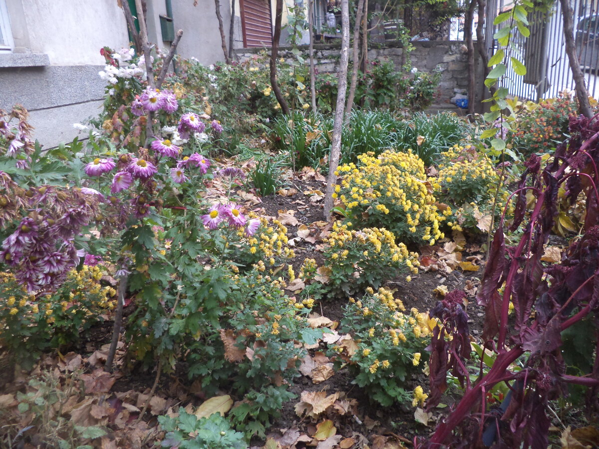 DSC01213.JPG