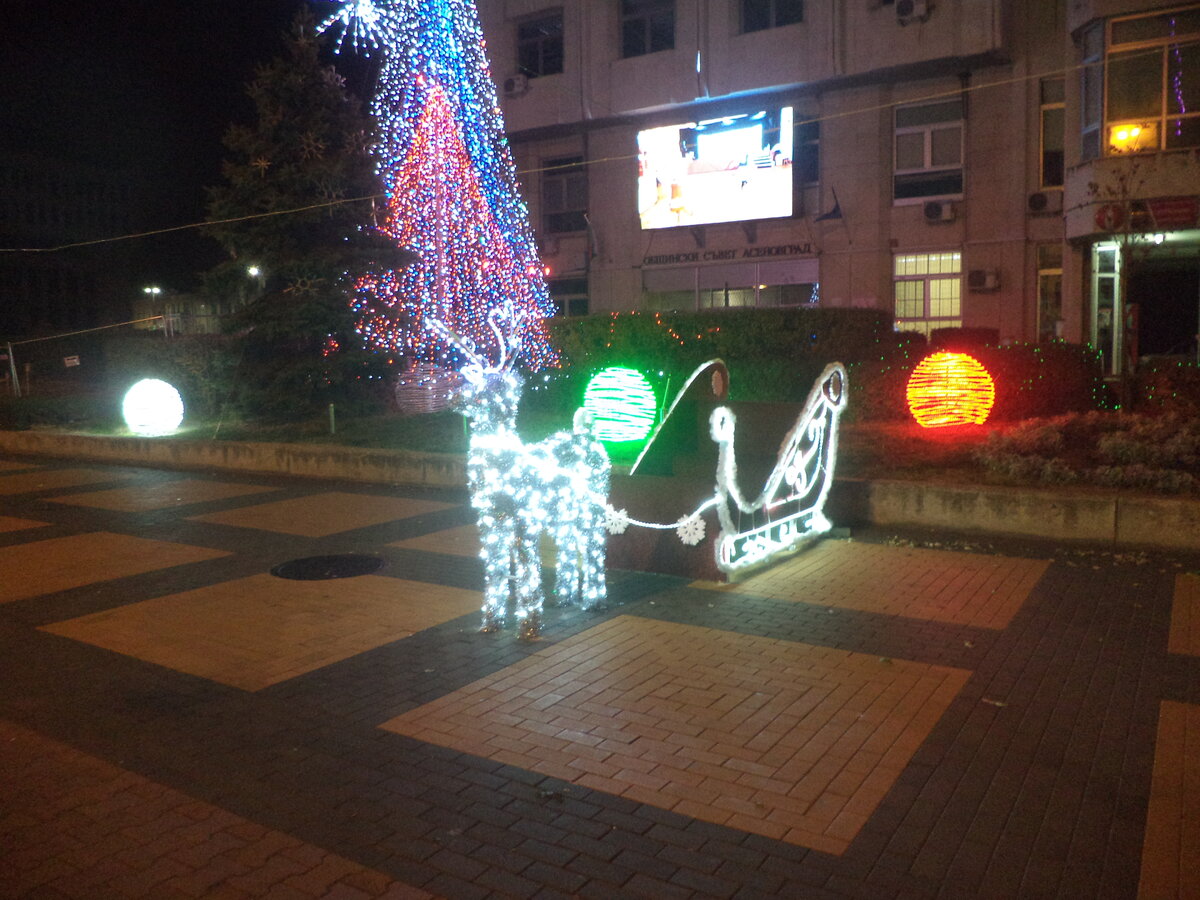DSC01216.JPG