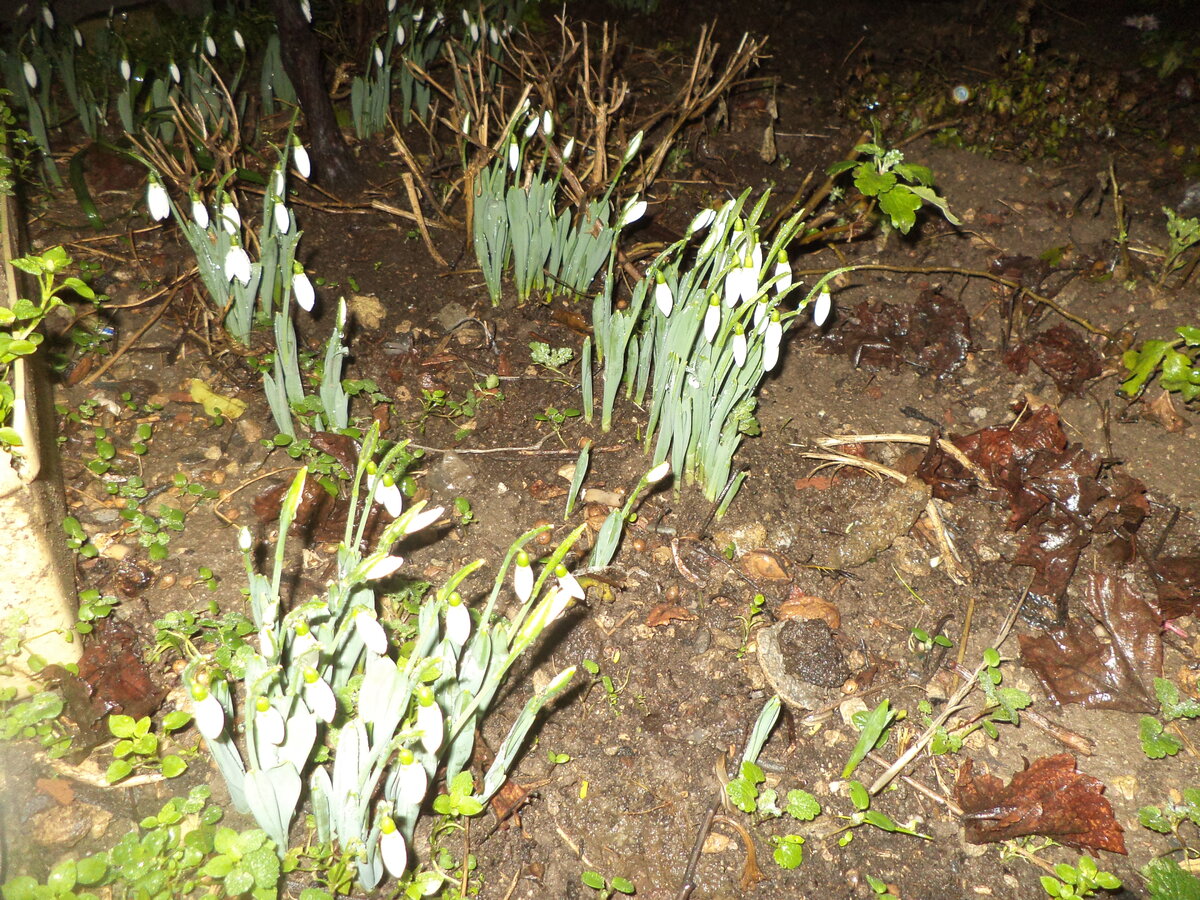 DSC01243.JPG