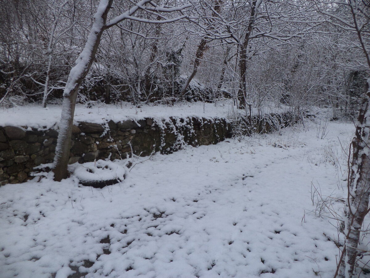 DSC01249.JPG