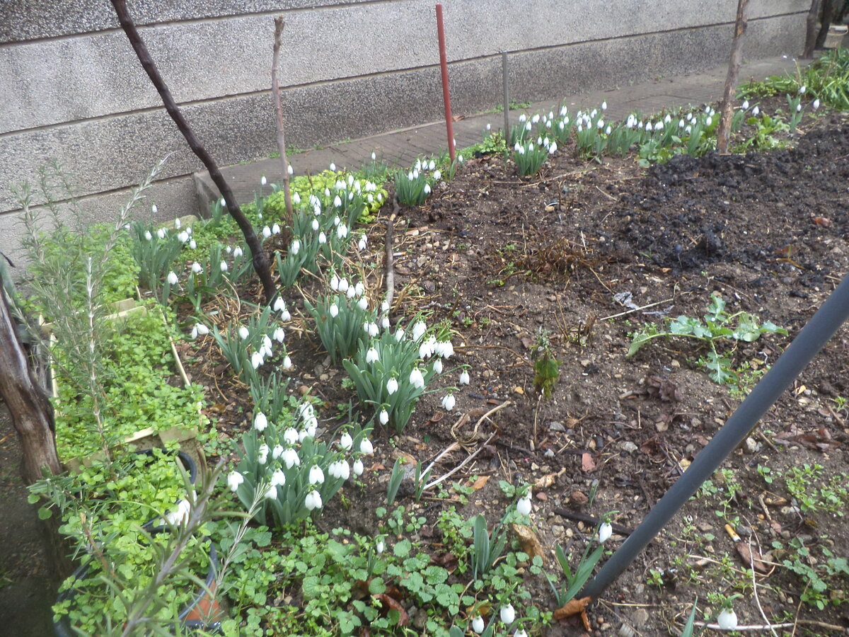 DSC01258.JPG