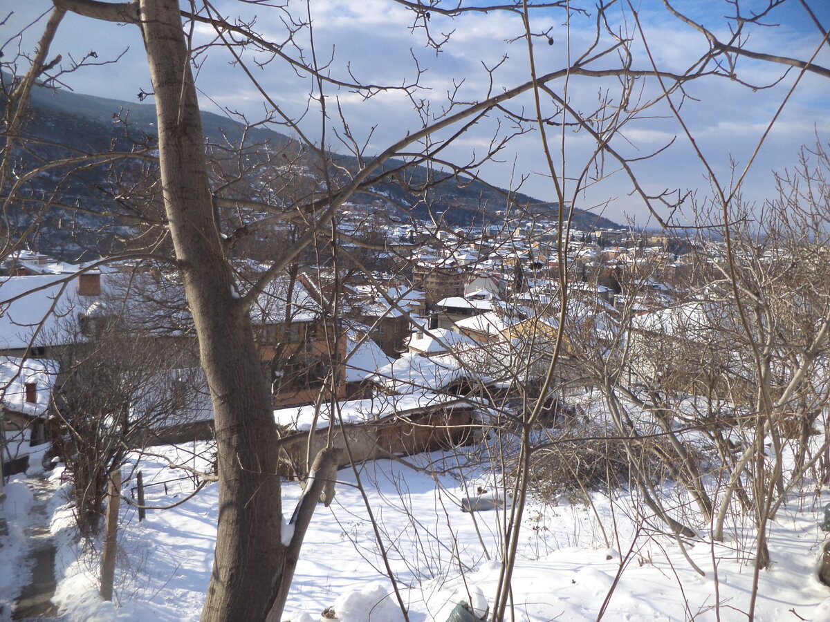 DSC01277.JPG