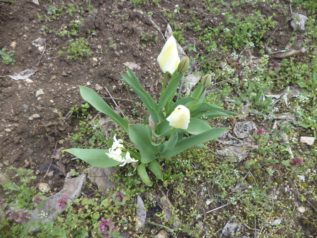 DSC01356.JPG