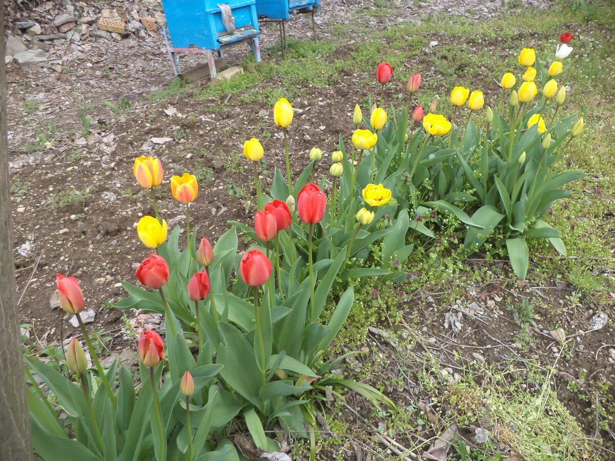 DSC01374.JPG