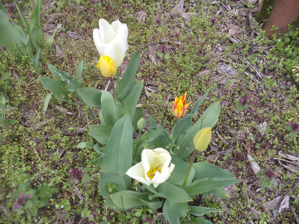 DSC01377.JPG