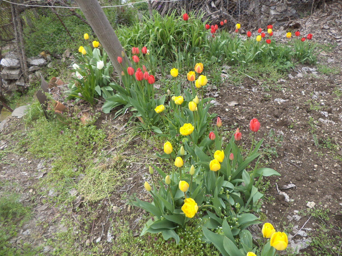 DSC01378.JPG