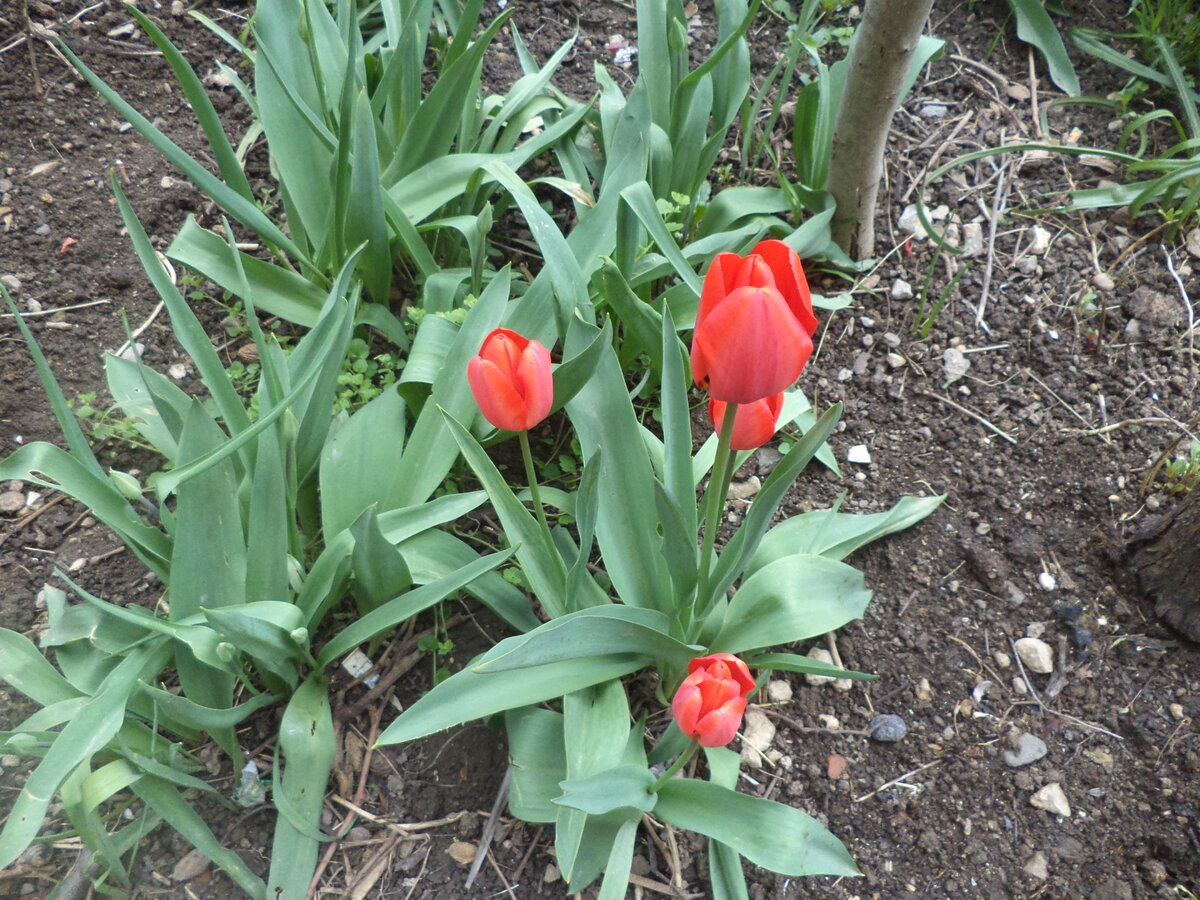 DSC01381.JPG