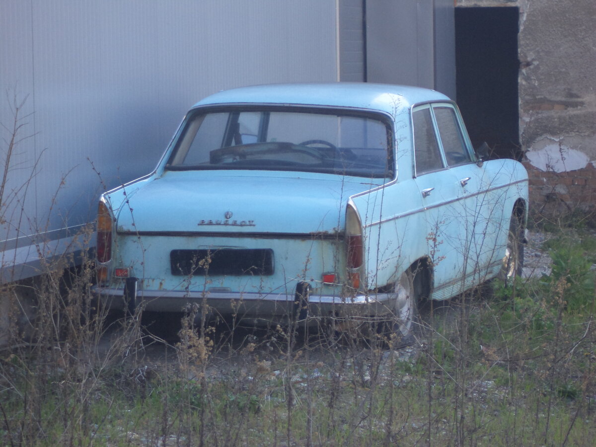 DSC01389.JPG