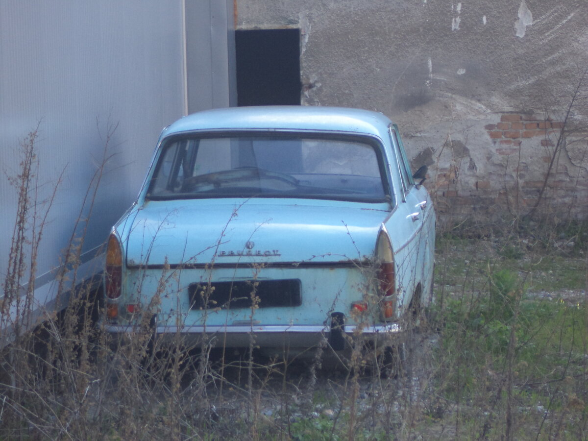 DSC01392.JPG