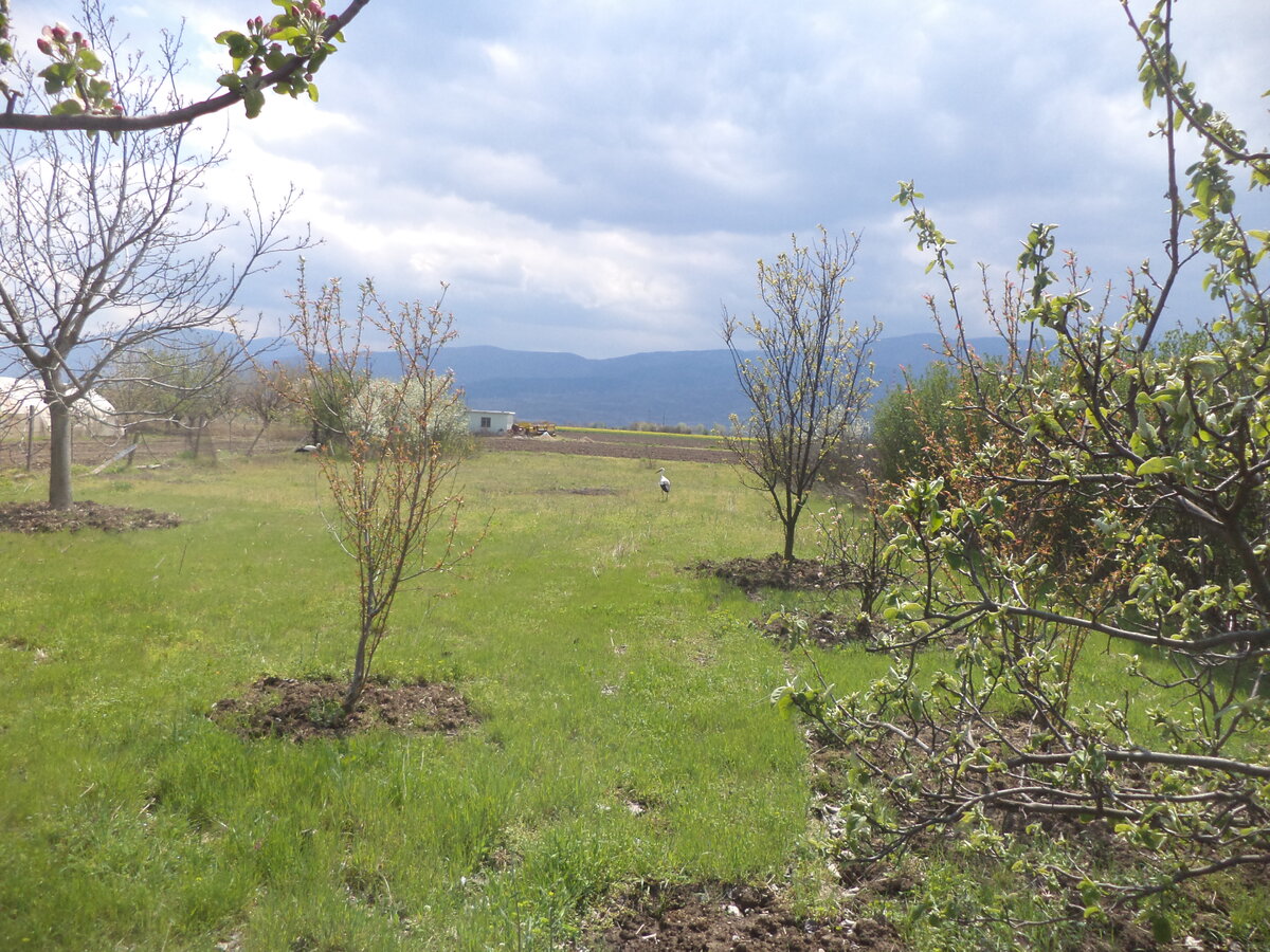 DSC01397.JPG