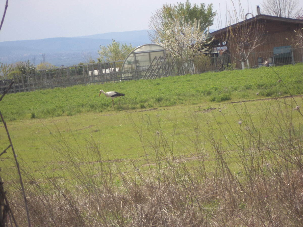 DSC01404.JPG