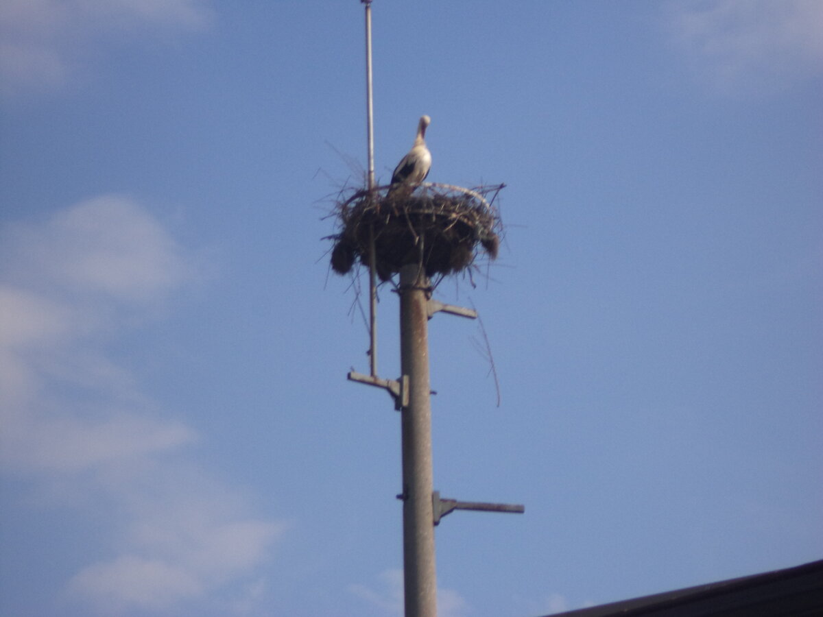 DSC01407.JPG