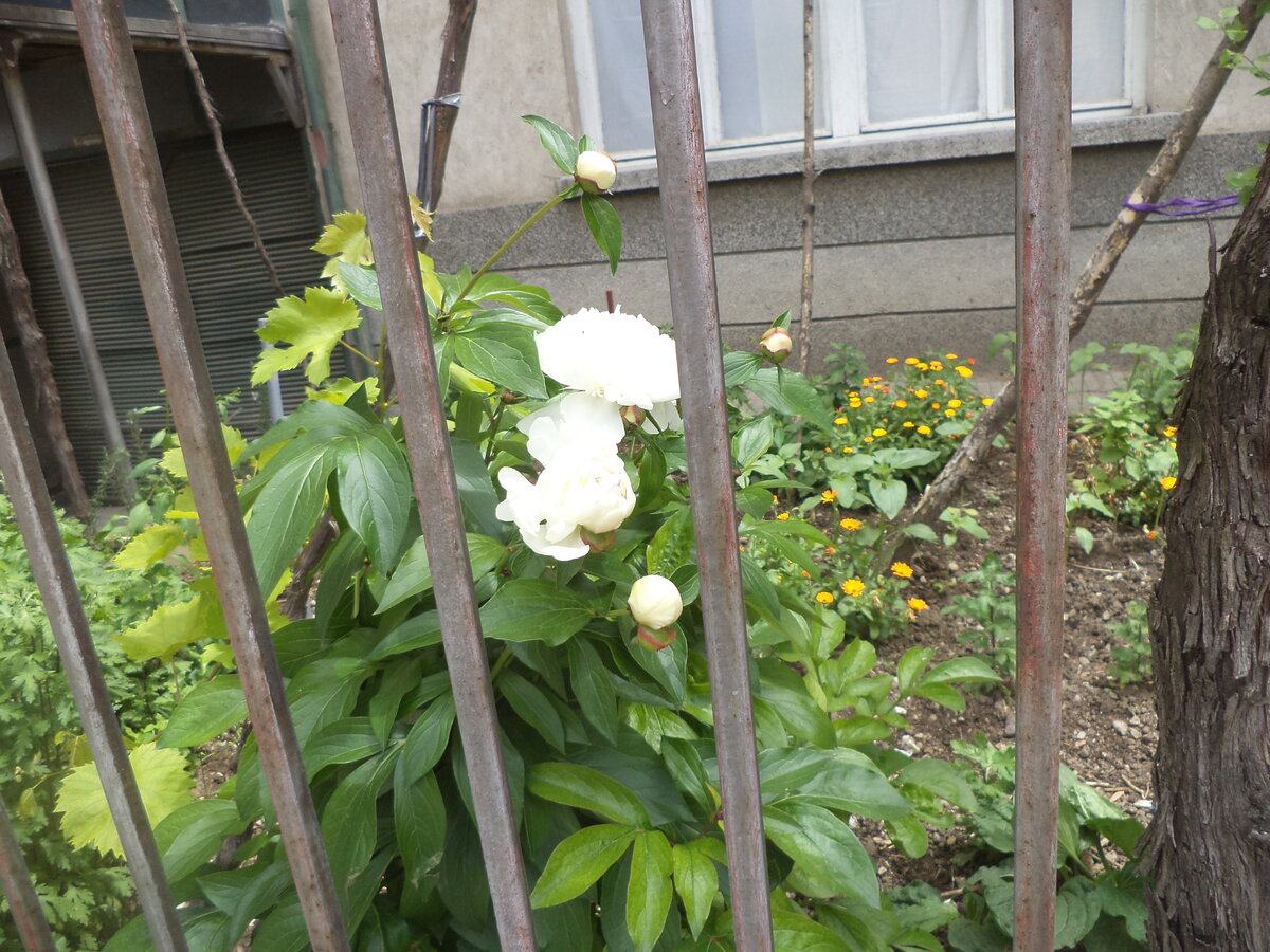DSC01546.JPG