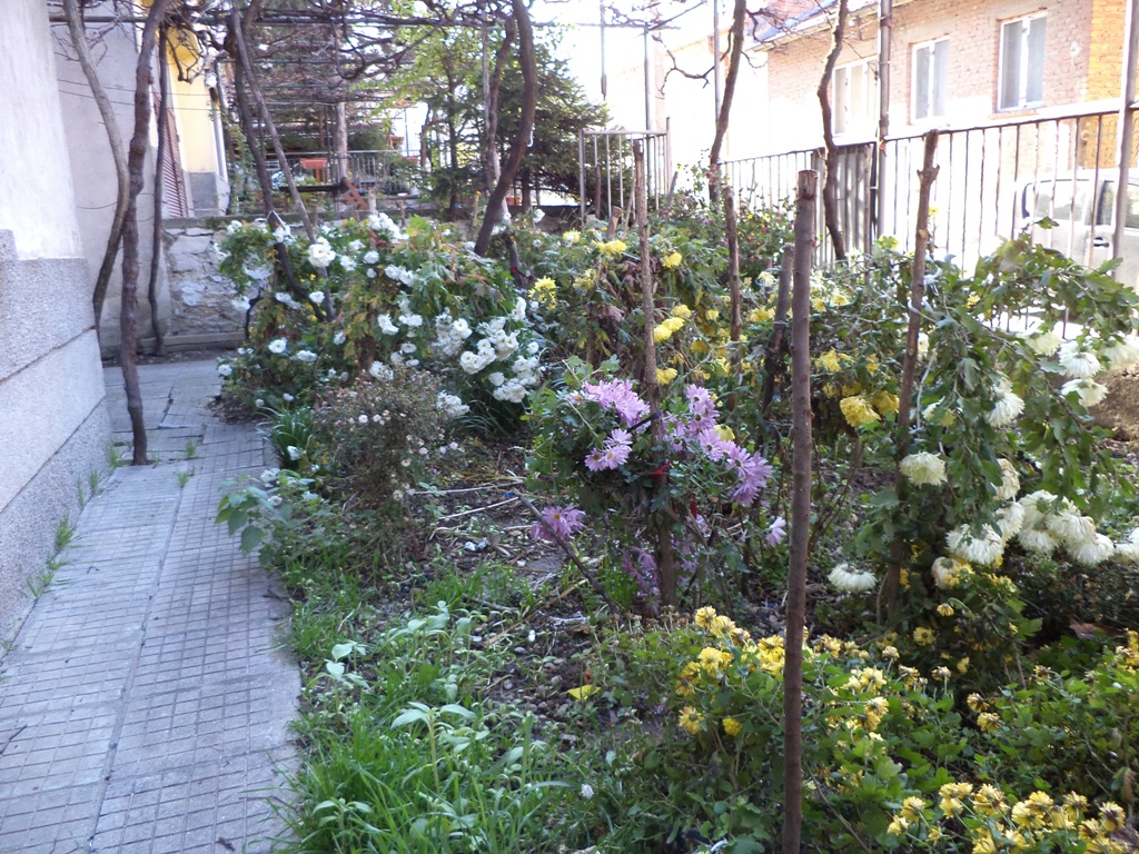 DSC01604.JPG