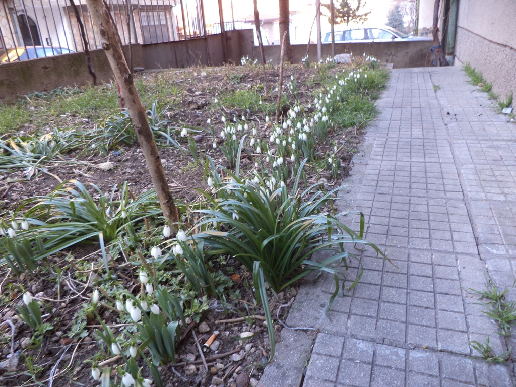DSC01621.JPG