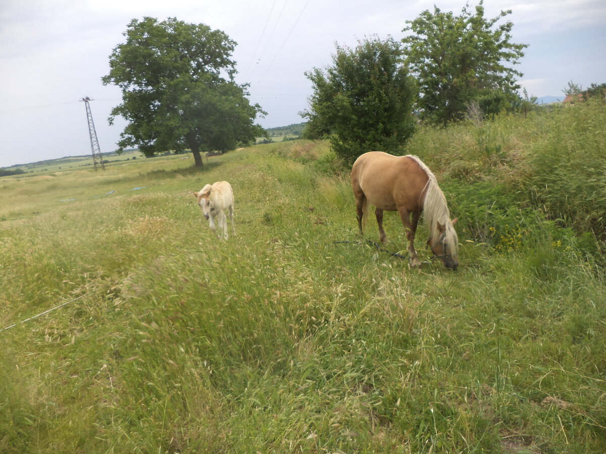 DSC01671.JPG