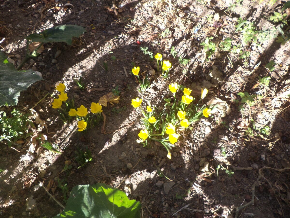 DSC02002.JPG