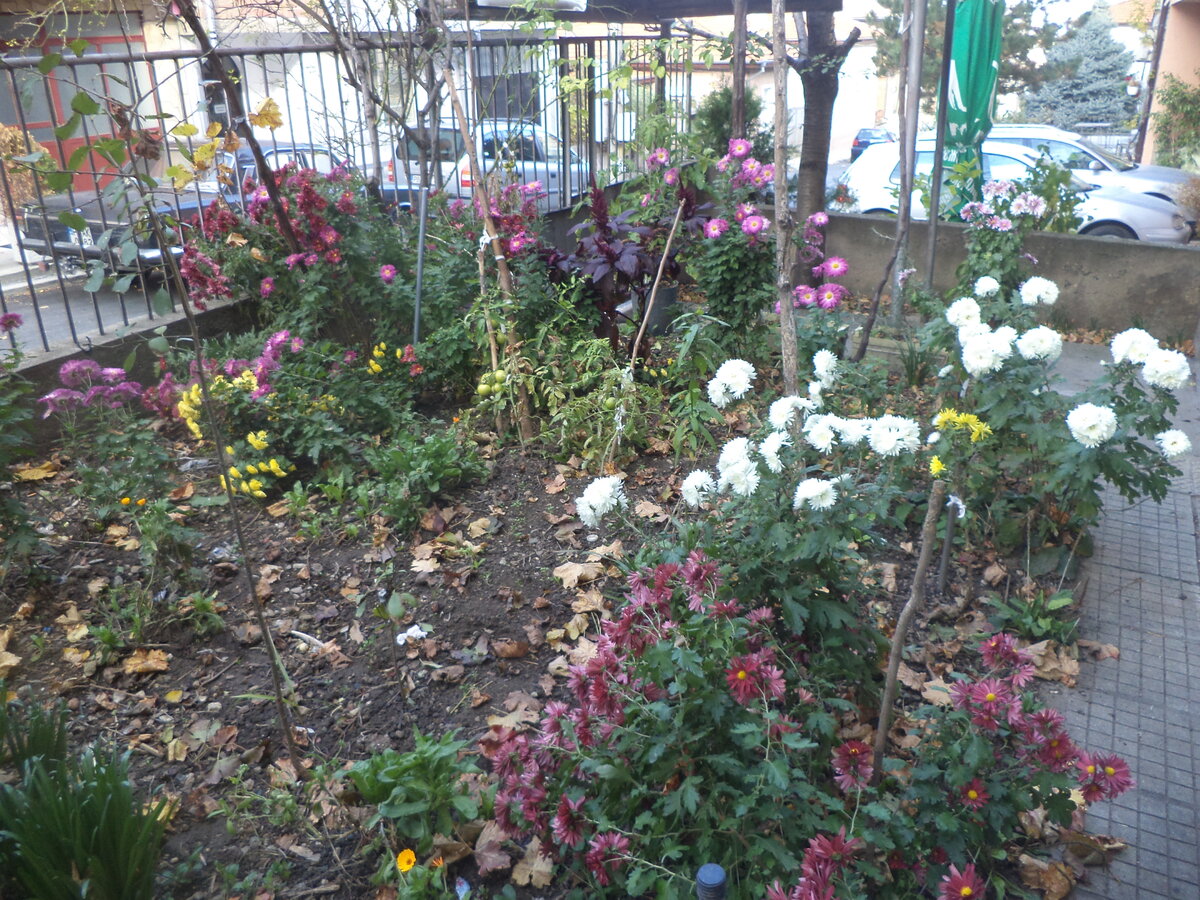 DSC02083.JPG