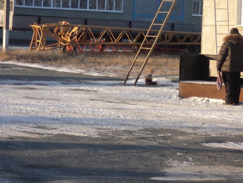 DSC02152.JPG