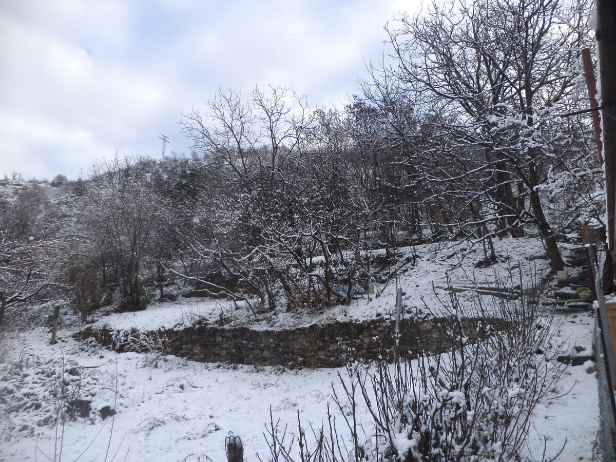 DSC02189.JPG