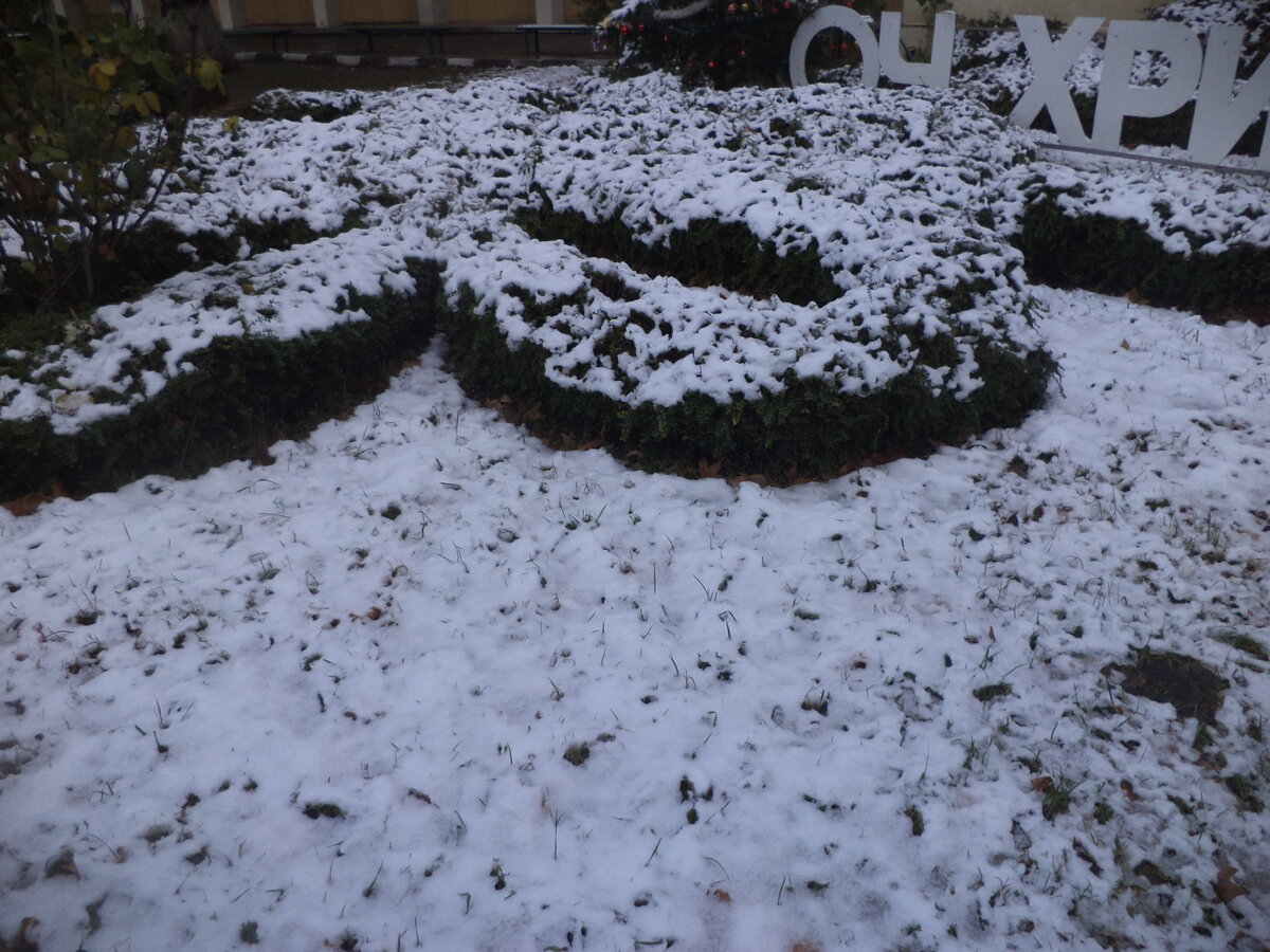 DSC02191.JPG