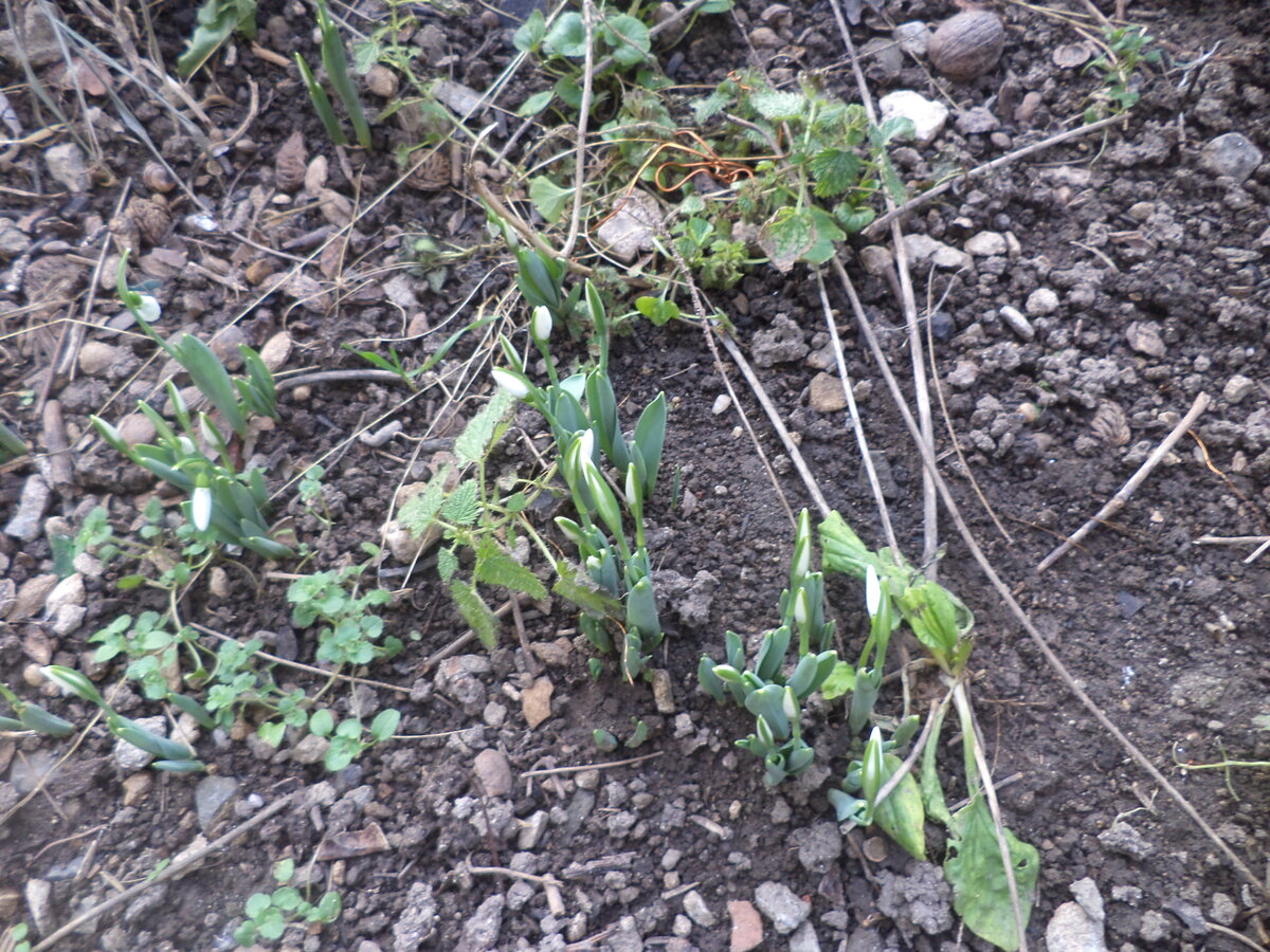 DSC02201.JPG