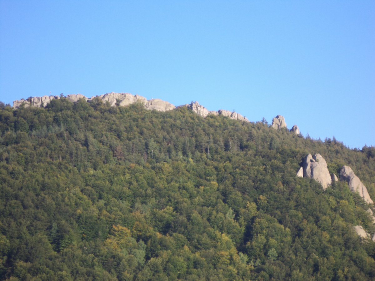 DSC02258.JPG