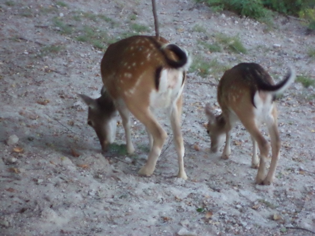 DSC02260.JPG