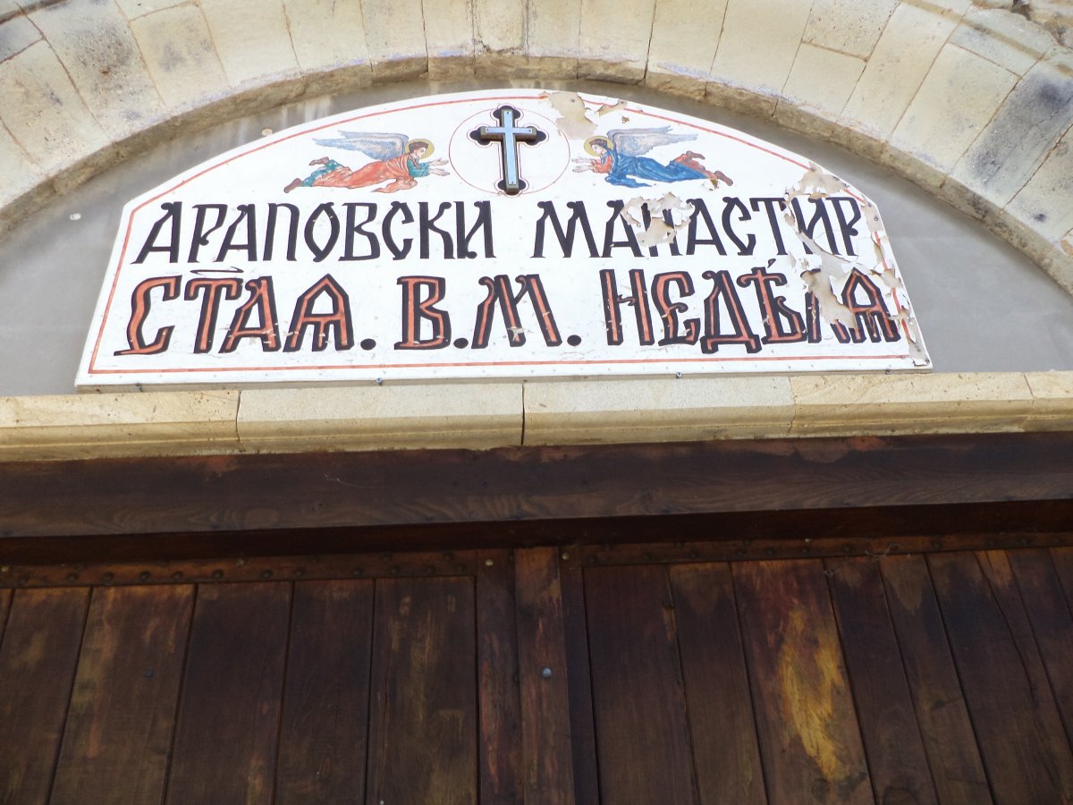 DSC02278.JPG