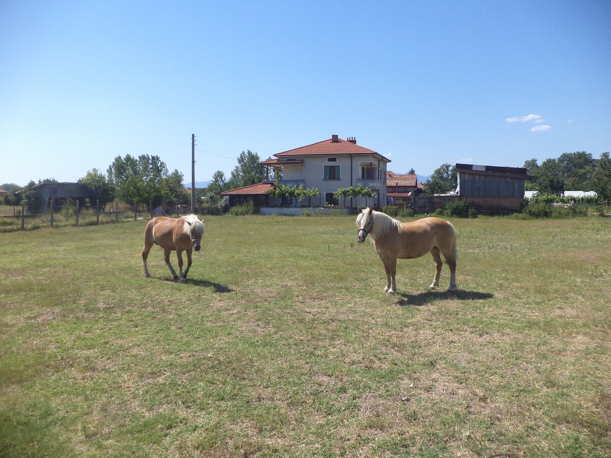 DSC02438.JPG