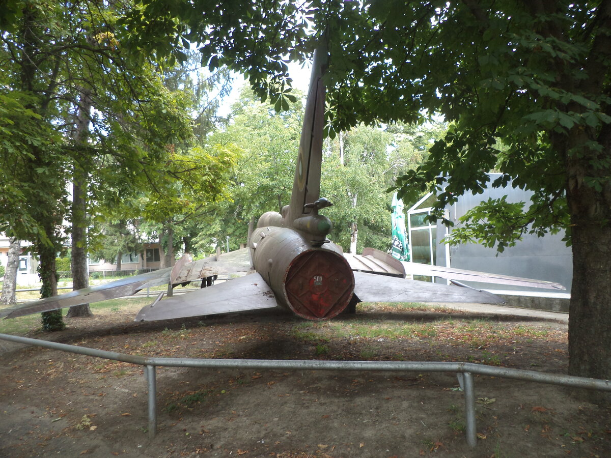DSC02480.JPG