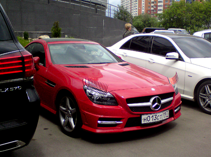 DSC02548 т.jpg
