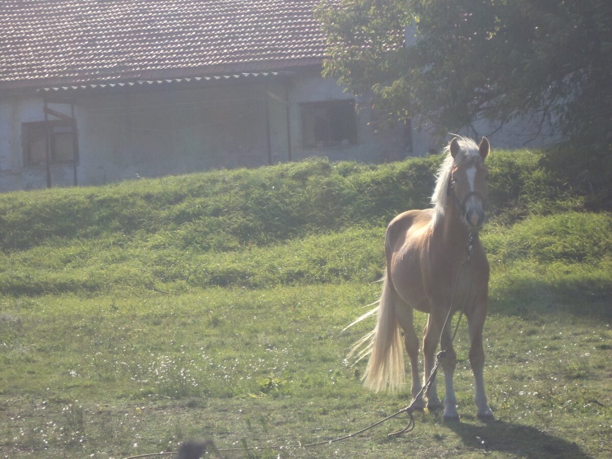 DSC02555.JPG