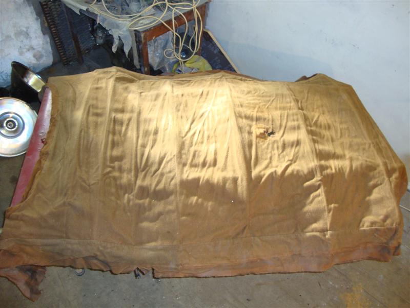 DSC02668 (Средний).JPG