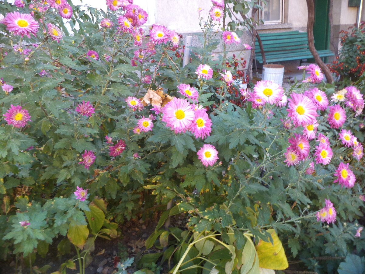 DSC02722.JPG