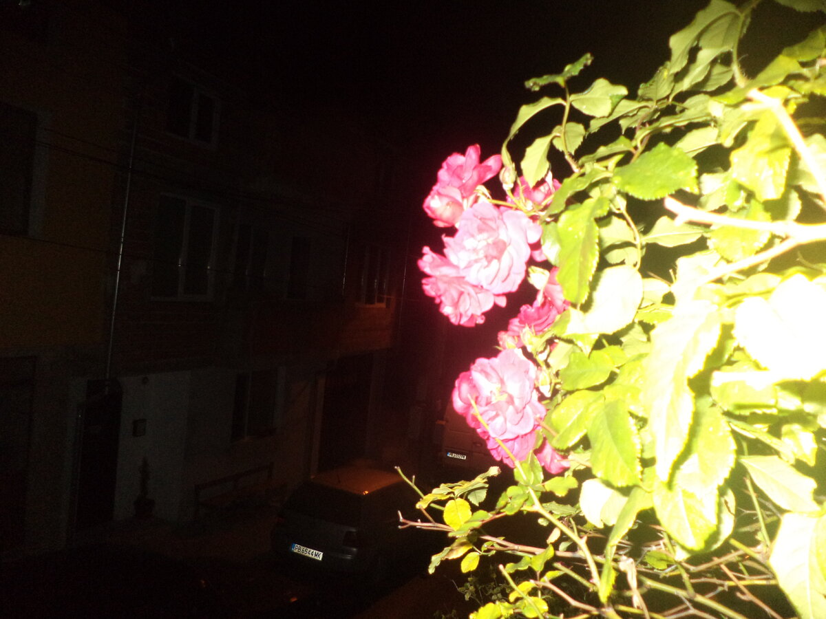 DSC02769.JPG
