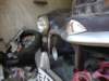 DSC02854_thumb.jpg